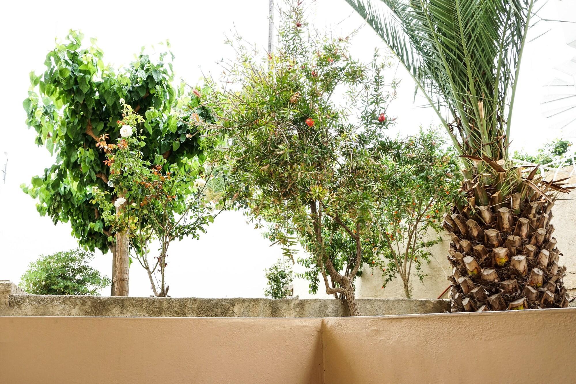 Dioni Hotel Adelianos Kampos Extérieur photo